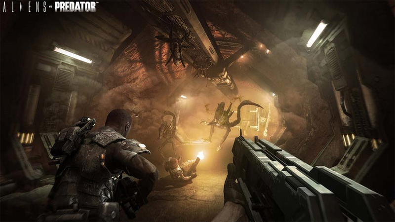 Illustration for article titled Aliens VS Predator: First Screens, Teaser, And Campaign Details